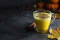 Pumpkin spiced latte macchiato on a dark wooden background autumn drink beverage golden milk with copy space Royalty Free Stock Photo