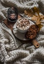 Pumpkin spices hot chocolate with marshmallows and cookies with chocolate drops on a knitted blanket. Autumn still life