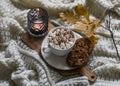 Pumpkin spices hot chocolate with marshmallows and cookies with chocolate drops on a knitted blanket. Autumn still life