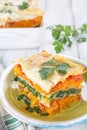 Pumpkin and Spinach Lasagne with Bechamel Sauce Royalty Free Stock Photo