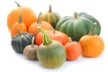 Pumpkin and squash collection Royalty Free Stock Photo