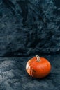 Pumpkin squash on the dark black blue textured copy space background halloween flat lay top view Royalty Free Stock Photo
