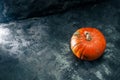 Pumpkin squash on the dark black blue textured copy space background flat lay top view Royalty Free Stock Photo