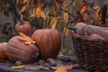 Pumpkin, Squash. Happy Thanksgiving Day Background. Autumn Thanksgiving Pumpkins over wooden background, still-life. Beautiful Hol Royalty Free Stock Photo