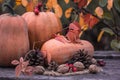 Pumpkin, Squash. Happy Thanksgiving Day Background. Autumn Thanksgiving Pumpkins over wooden background, still-life. Beautiful Hol Royalty Free Stock Photo