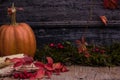 Pumpkin, Squash. Happy Thanksgiving Day Background. Autumn Thanksgiving Pumpkins over wooden background, still-life. Beautiful Hol