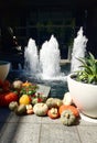 Pumpkin and Squash Fountain