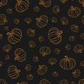 Pumpkin or squash pattern in orange color on blackboard. pumpkin pattern. vintage hand drawn pumpkin sketch. outline vegetables