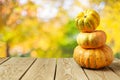 Pumpkin and squash on wooden table Royalty Free Stock Photo