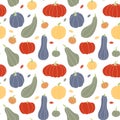 Pumpkin, squash, zucchini, marrow. Various shapes and colors. Vector flat illustration, seamless pattern