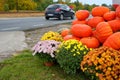 Pumpkin, stack of vegetables and chrysanthemum Dendranthema, exposure on the road, Halloween