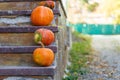 Pumpkin stone stairs Royalty Free Stock Photo