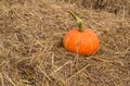 Pumpkin on the straw.