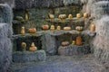 Pumpkin on straw shelves for shooting with a rifle. The pumpkin is damaged. Shooting with weapons