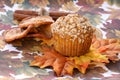 Pumpkin Streusel Muffin Royalty Free Stock Photo