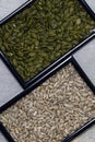 Pumpkin and sunflower seeds in black frames, on a gray concrete background close-up view Royalty Free Stock Photo