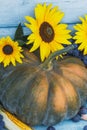 Pumpkin, sunflowers and different ripe vegetables Royalty Free Stock Photo