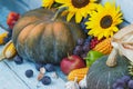 Pumpkin, sunflowers and different ripe vegetables Royalty Free Stock Photo
