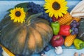 Pumpkin, sunflowers and different ripe vegetables Royalty Free Stock Photo