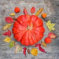 Pumpkin surrounded by autumn leaves. Fall concept. Flatly. Square. Royalty Free Stock Photo