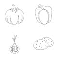 pumpkin, sweet pepper, onion bitter, potatoes. Vegetables set collection icons in outline style vector symbol