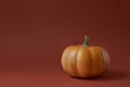 Pumpkin on a terracottas paper background. Creative minimal concept Royalty Free Stock Photo