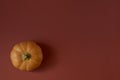 Pumpkin on a terracottas paper background Royalty Free Stock Photo
