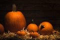 Pumpkin for Thanksgiving Day or October fest. Pumpkins on straw bale and wooden background. Autumn decorations. Royalty Free Stock Photo