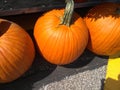 Pumpkin time Royalty Free Stock Photo