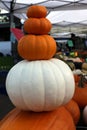 Pumpkin Tower Royalty Free Stock Photo