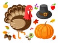 Pumpkin and Turkey Animal Thanksgiving Vector