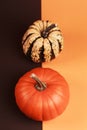 Pumpkin on two-colored background Royalty Free Stock Photo