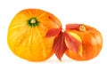 Pumpkin. Hokkaido pumpkins with fall leaf on white background