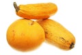 Pumpkin and two zucchini Royalty Free Stock Photo