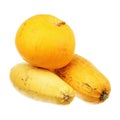 Pumpkin and two zucchini Royalty Free Stock Photo