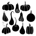 Pumpkin various. Happy Thanksgiving. Harvest season. Hand drawn vector set. Silhouette Illustration. Thanksgiving or