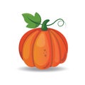 pumpkin. Vector illustration decorative design Royalty Free Stock Photo