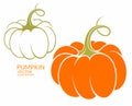 Pumpkin Royalty Free Stock Photo