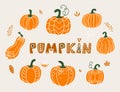Pumpkin vector illustration in flat naive simple modern style. Autumn decorative gourd for thanksgiving, halloween