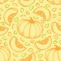 Pumpkin vector seamless pattern. Hand drawn objects with sliced piece of pumpkin and seeds. Vegetable doodle style illustration.