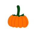 Pumpkin vector flat illustration. Pumpkin for Halloween and thanksgiving day design. Organic autumn vegetables