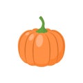 Pumpkin vegetable clipart simple icon. Pumpkin cartoon. Royalty Free Stock Photo