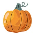 pumpkin vegetable harvest icon