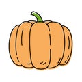 Pumpkin. Vegetable sketch. Color simple icon. Hand drawn vector doodle illustration