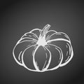 Pumpkin vegetable white outline on dark chalkboard