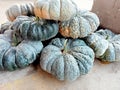 Pumpkin vegetables green colour