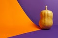 Pumpkin on violet and orange background