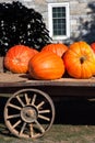 Pumpkin Wagon Royalty Free Stock Photo