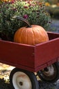 Pumpkin Wagon Royalty Free Stock Photo