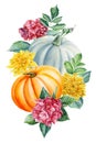 pumpkin and hydrangea flower watercolor on isolated white background, autumn illustration hand drawing Royalty Free Stock Photo